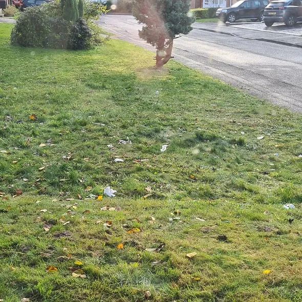 Rubbish and waste removal services Birmingham